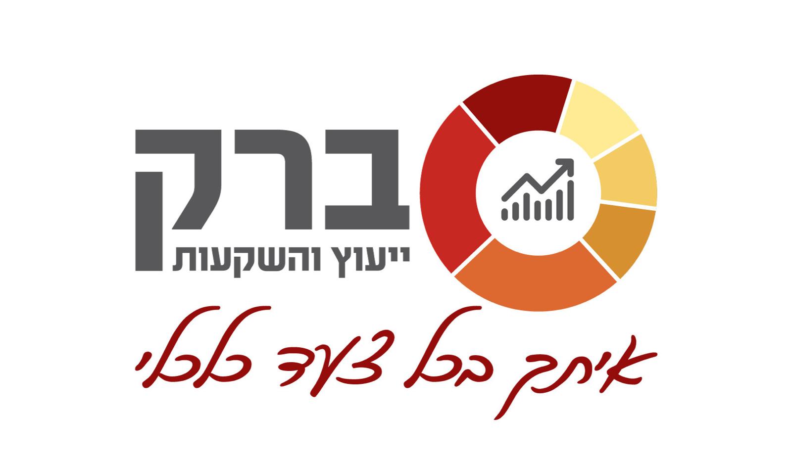 ברק ייעוץ השקעות